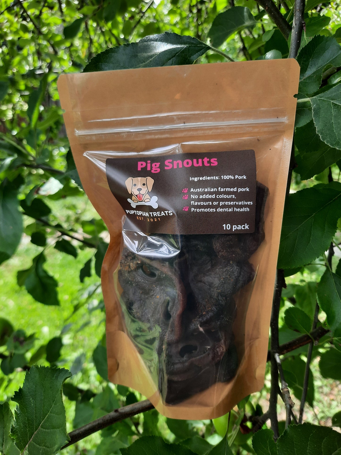 Pig Snouts