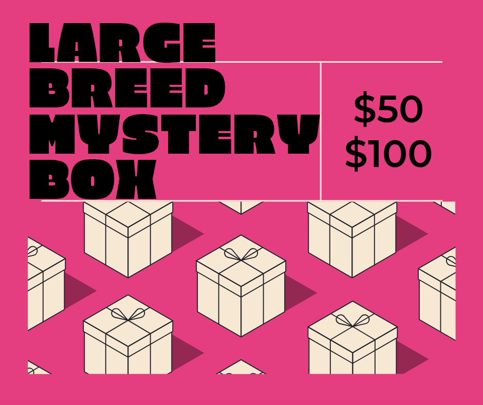 Large Breed Mystery Box