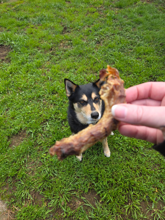 Chicken necks