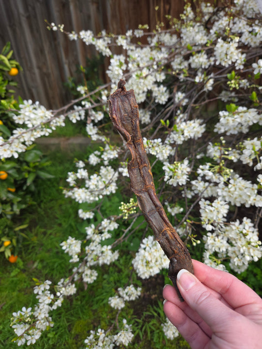 Kangaroo Jerky