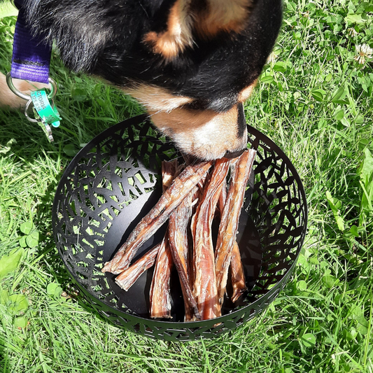 Bully Stick